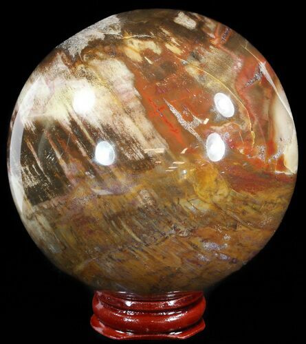 Colorful Petrified Wood Sphere #49777